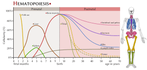 thumbnail of dbpedia resource