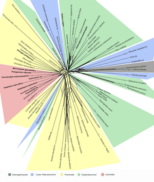 thumbnail of dbpedia resource