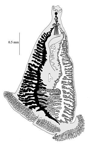 thumbnail of dbpedia resource