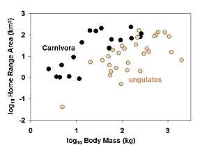 thumbnail of dbpedia resource