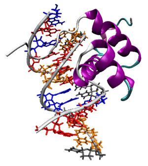 thumbnail of dbpedia resource