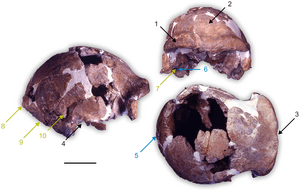 thumbnail of dbpedia resource