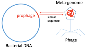 thumbnail of dbpedia resource