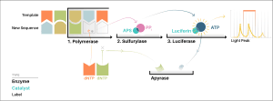 thumbnail of dbpedia resource