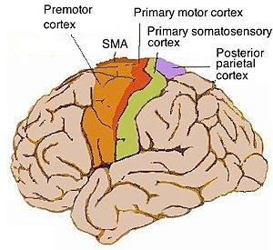 thumbnail of dbpedia resource