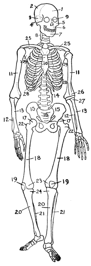 thumbnail of dbpedia resource