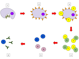 thumbnail of dbpedia resource