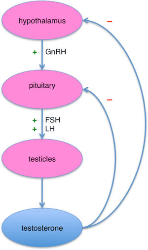 thumbnail of dbpedia resource