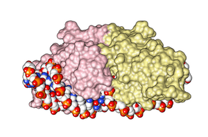 thumbnail of dbpedia resource