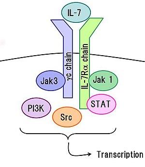 thumbnail of dbpedia resource