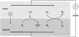 thumbnail of dbpedia resource