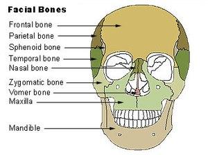 thumbnail of dbpedia resource