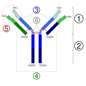 thumbnail of dbpedia resource