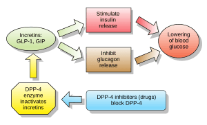 thumbnail of dbpedia resource