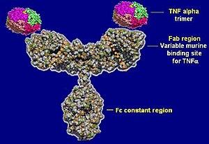 thumbnail of dbpedia resource