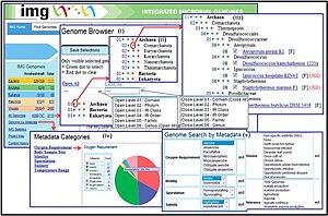 thumbnail of dbpedia resource