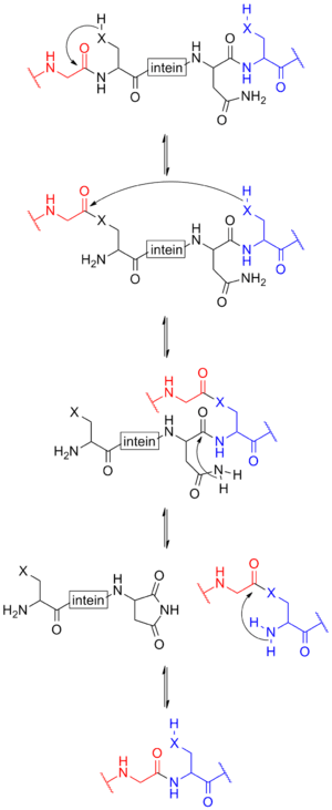 thumbnail of dbpedia resource