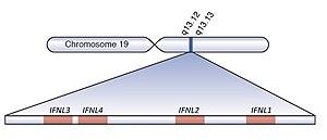 thumbnail of dbpedia resource