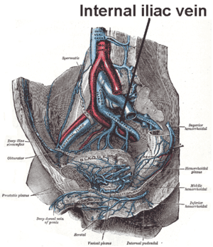 thumbnail of dbpedia resource