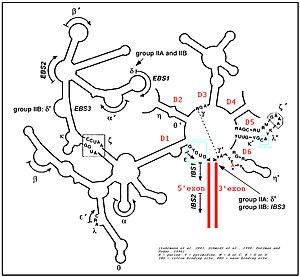 thumbnail of dbpedia resource