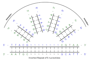 thumbnail of dbpedia resource