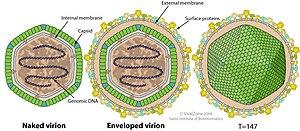 thumbnail of dbpedia resource