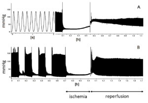 thumbnail of dbpedia resource