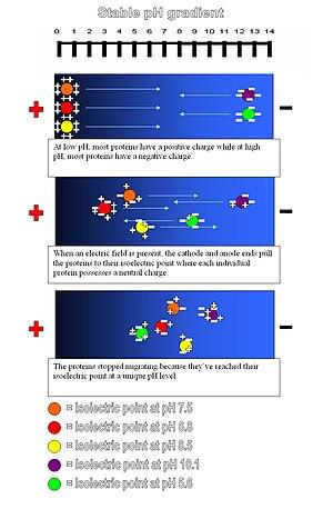 thumbnail of dbpedia resource