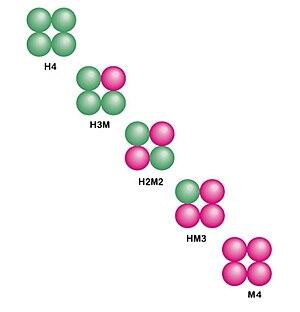 thumbnail of dbpedia resource