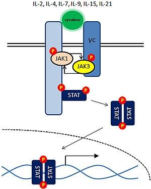 thumbnail of dbpedia resource