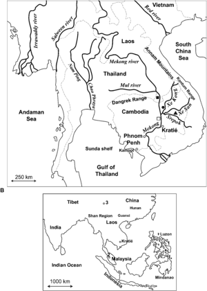 thumbnail of dbpedia resource