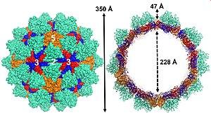 thumbnail of dbpedia resource