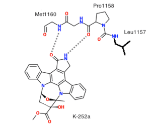 thumbnail of dbpedia resource