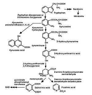 thumbnail of dbpedia resource