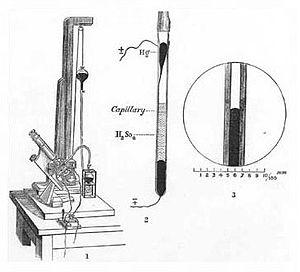 thumbnail of dbpedia resource