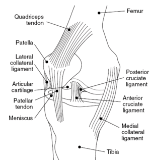 thumbnail of dbpedia resource