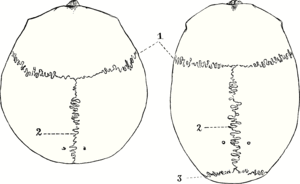 thumbnail of dbpedia resource