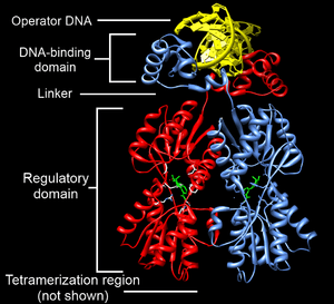 thumbnail of dbpedia resource