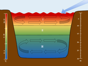 thumbnail of dbpedia resource