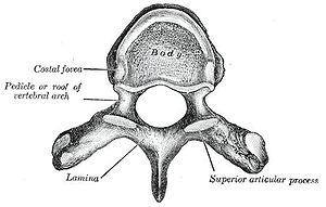 thumbnail of dbpedia resource