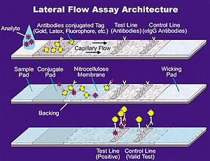 thumbnail of dbpedia resource