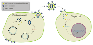 thumbnail of dbpedia resource