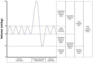 thumbnail of dbpedia resource