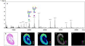 thumbnail of dbpedia resource