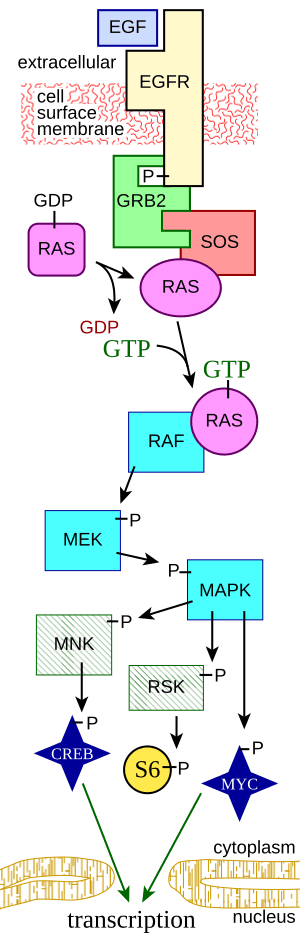 thumbnail of dbpedia resource