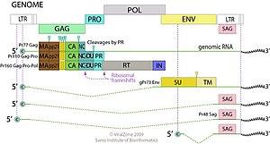 thumbnail of dbpedia resource