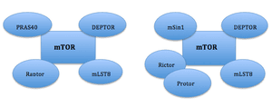 thumbnail of dbpedia resource