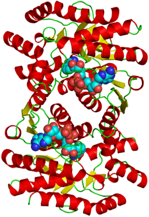 thumbnail of dbpedia resource