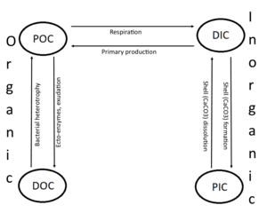 thumbnail of dbpedia resource