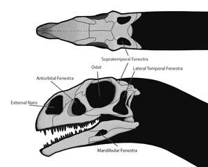 thumbnail of dbpedia resource